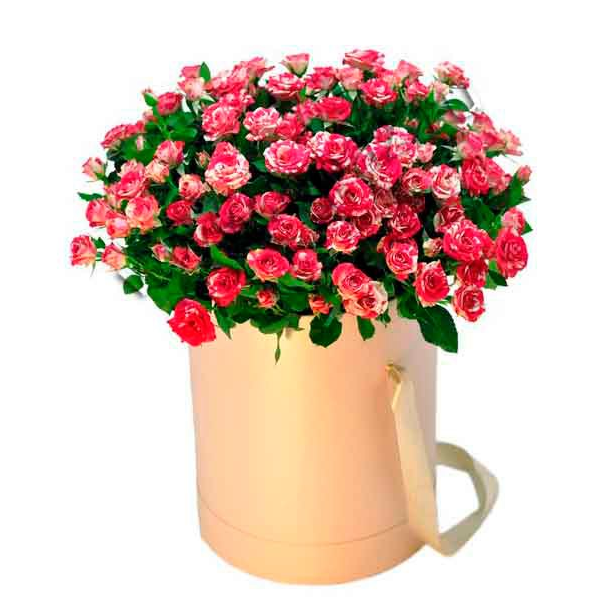 Цветы в шляпной коробке СПб - купить розы в коробке от Opaz.