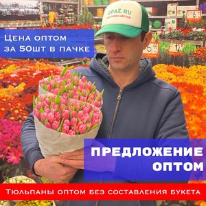 Тюльпаны оптом 50шт в пачке № Т-001
