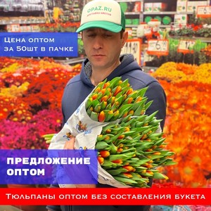 Тюльпаны оптом 50шт в пачке № Т-005