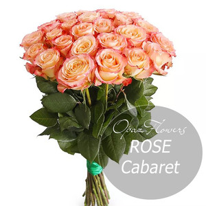 Роза Эквадор Premium "Кабаре"