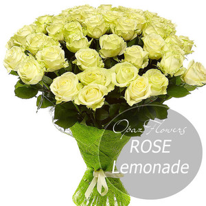 Роза Эквадор Premium "Лимонад"
