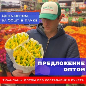 Тюльпаны оптом 50шт в пачке № Т-004