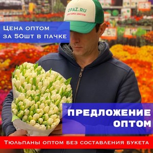 Тюльпаны оптом 50шт в пачке № Т-006